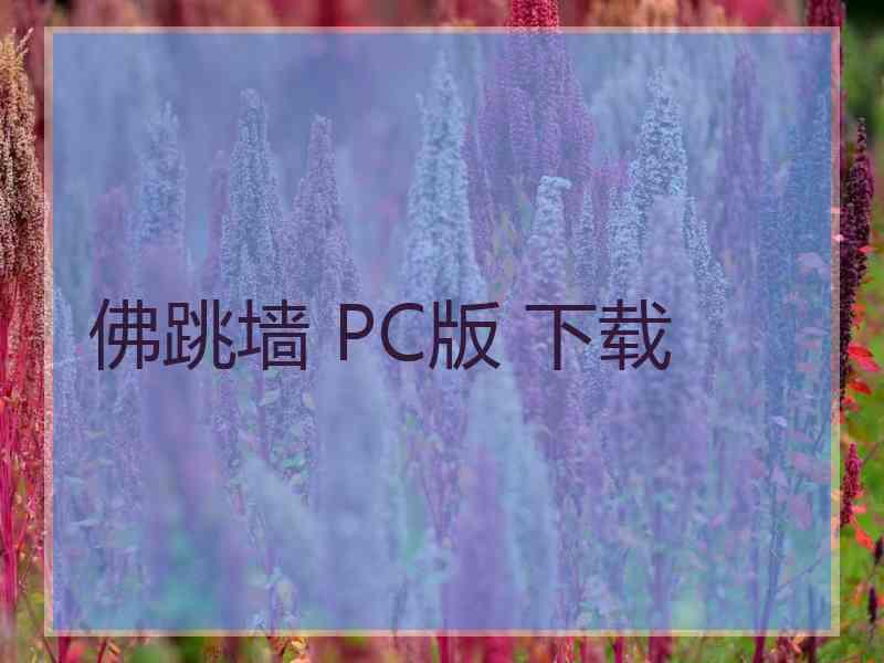 佛跳墙 PC版 下载