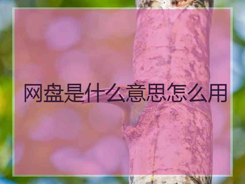 网盘是什么意思怎么用