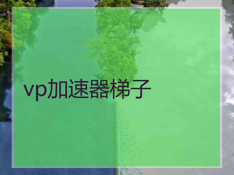 vp加速器梯子