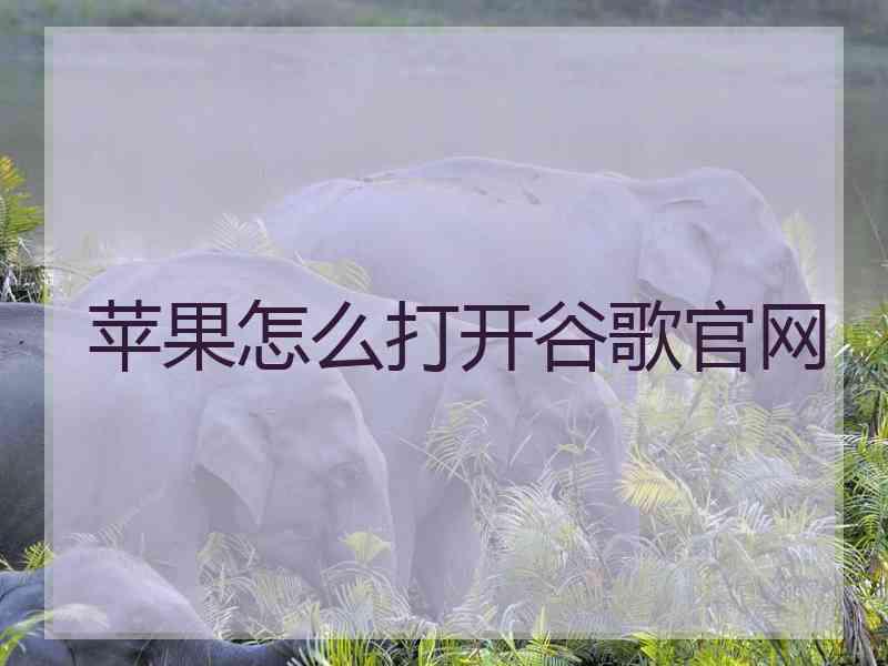 苹果怎么打开谷歌官网