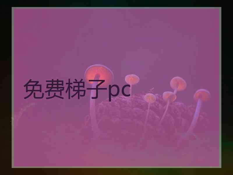 免费梯子pc