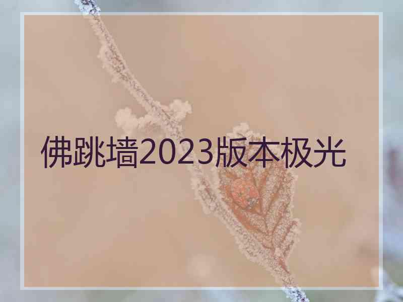 佛跳墙2023版本极光