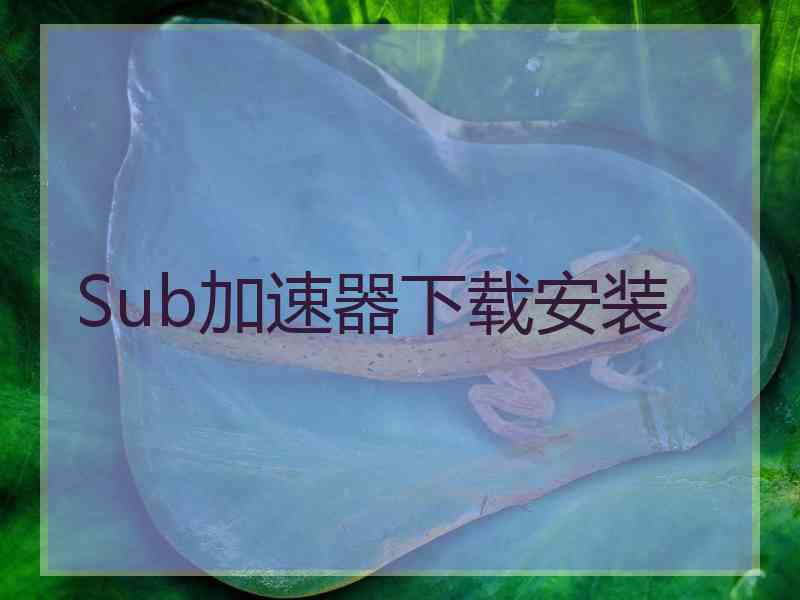 Sub加速器下载安装