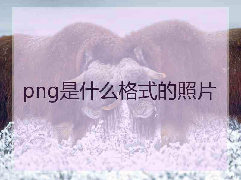 png是什么格式的照片