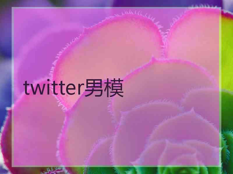 twitter男模