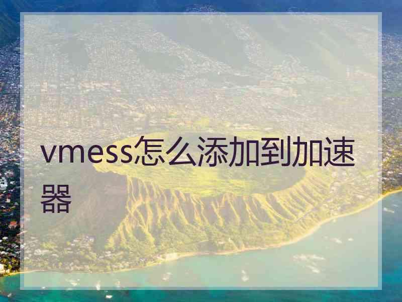 vmess怎么添加到加速器