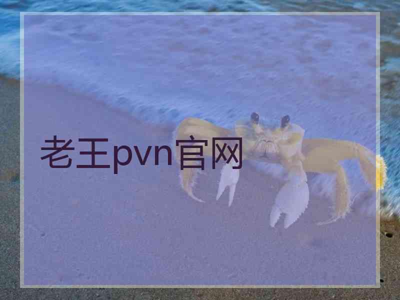 老王pvn官网