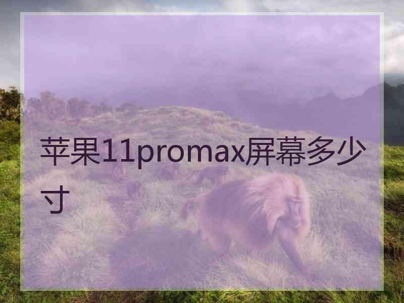 苹果11promax屏幕多少寸