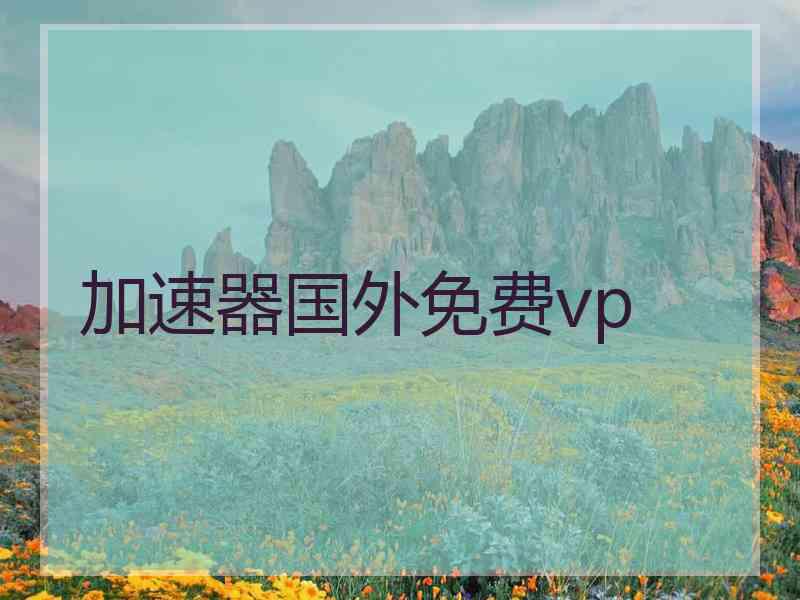 加速器国外免费vp