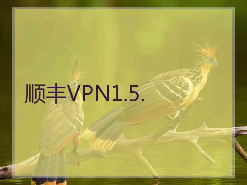 顺丰VPN1.5.