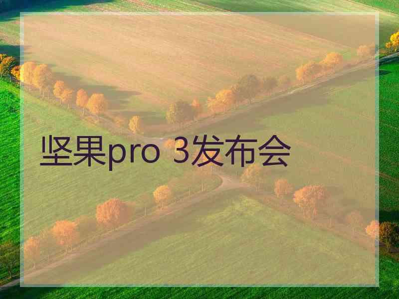 坚果pro 3发布会