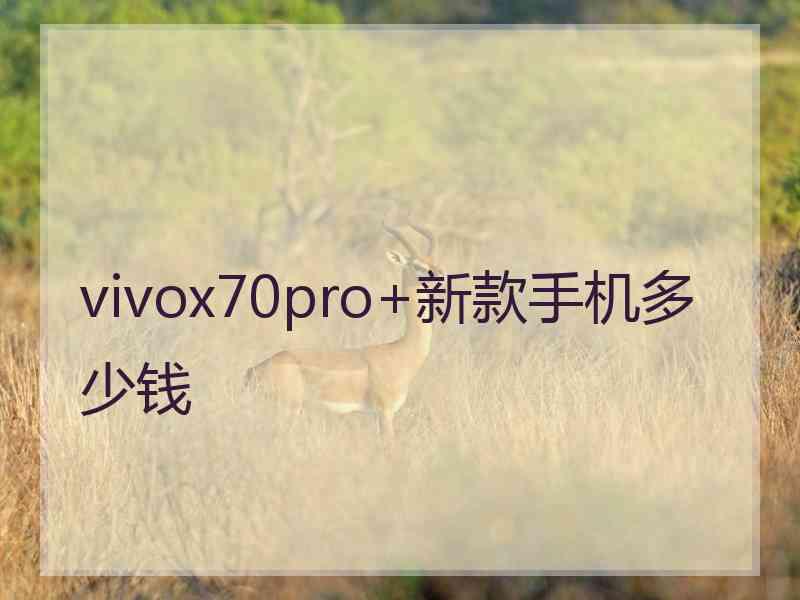 vivox70pro+新款手机多少钱