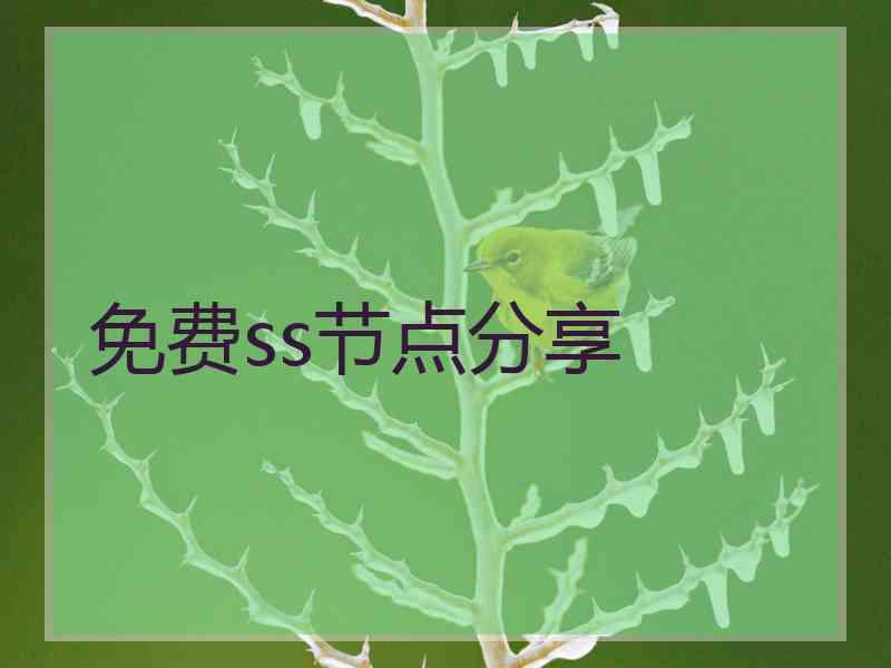 免费ss节点分享