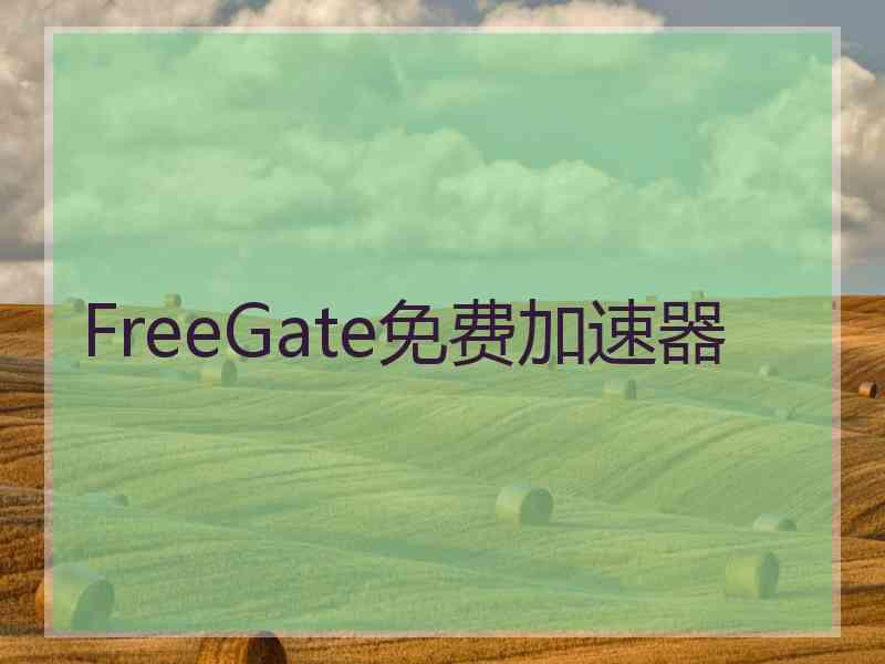 FreeGate免费加速器