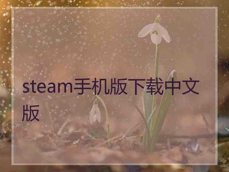 steam手机版下载中文版