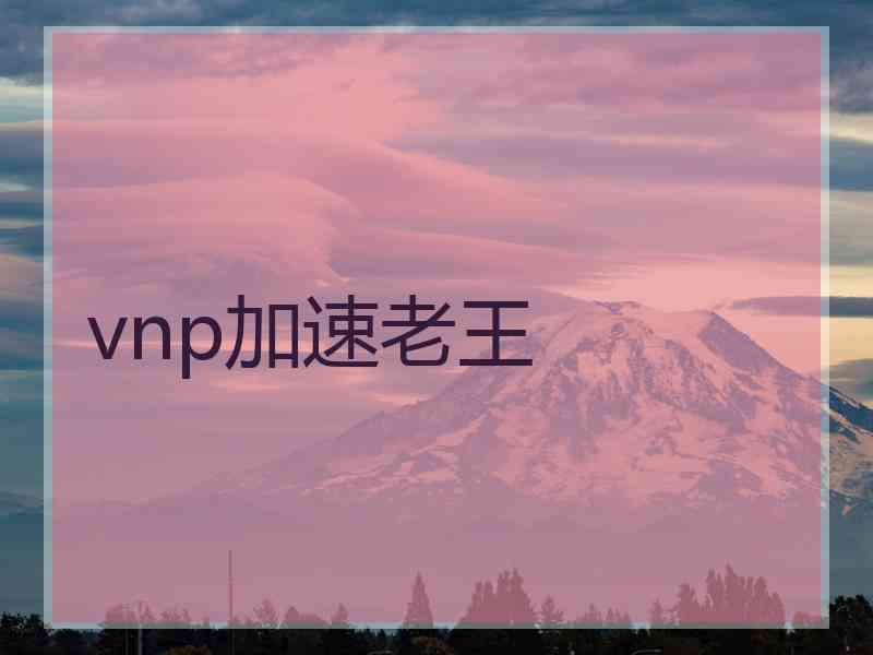 vnp加速老王