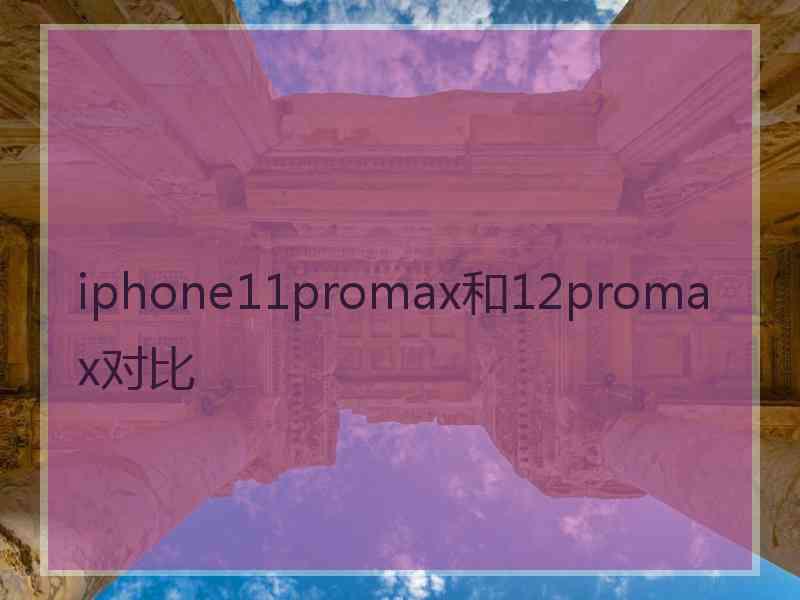 iphone11promax和12promax对比