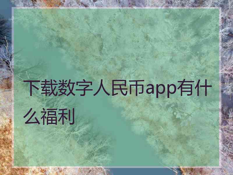 下载数字人民币app有什么福利